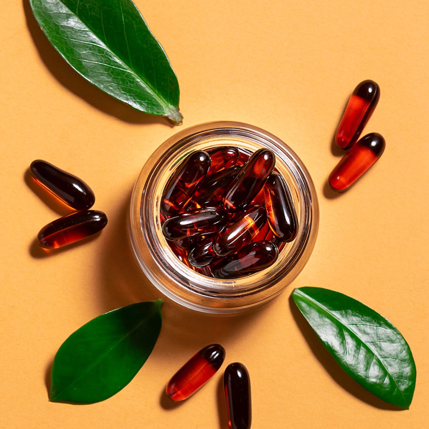 Micronutrition-pharmacie-des-longs-champs-rennes